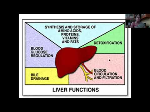 Embedded thumbnail for &amp;#039;RESET&amp;#039; LIVER DETOX FUNDAMENTALS